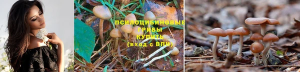 шишки Балахна