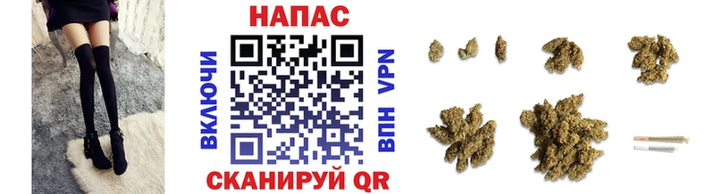Марихуана планчик Гатчина